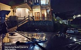 Bromo Deddy Homestay